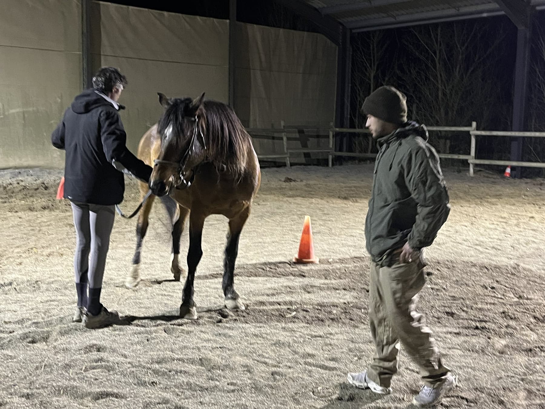 Stagiaire face au cheval tenu par la formatrice équestre